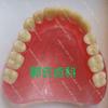 Full senior teeth, full tooth models, display supplies, full dentures, movable teeth, removable dentures