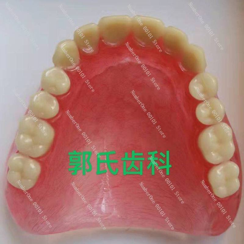 Full senior teeth, full tooth models, display supplies, full dentures, movable teeth, removable dentures