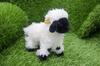 Takeoff Valley Black Nose Sheep Plush Toy - Pure white fur and a pitch black face So adorable