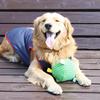 Собаки Звуковой мяч Игрушка-мяч для щенков со встроенным колокольчиком Устойчивый к жеванию Мяч для бросания и приноса для тренировки собак Интерактивная игра Снятие скуки
