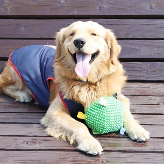 Собаки Звуковой мяч Игрушка-мяч для щенков со встроенным колокольчиком Устойчивый к жеванию Мяч для бросания и приноса для тренировки собак Интерактивная игра Снятие скуки