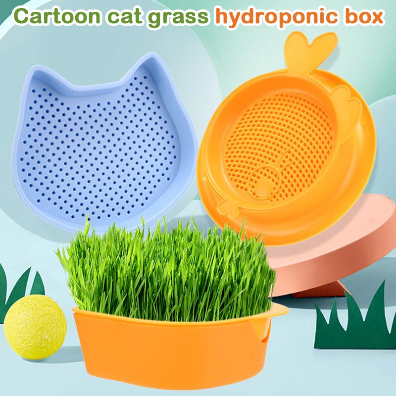 Mint Cat Grass Pot Soilless Hydroponic Lazy Cat Grass Planting Box Catnip Promote Digestion Cat Snacks Planting Container Tools