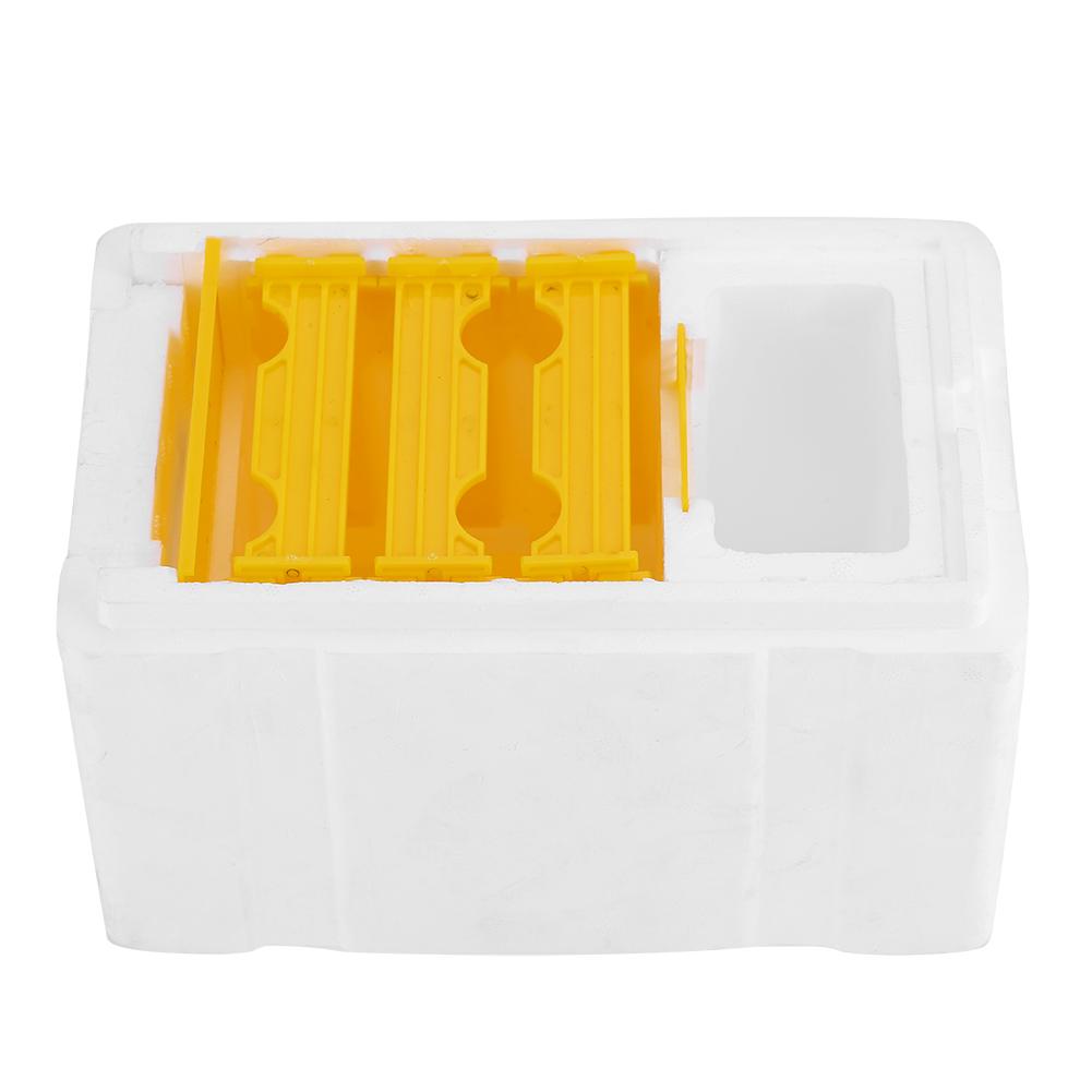 Урожай пчелиный улей пчеловодство король ящик опыление ящик пчеловодческий инструмент