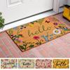 Front Door Welcome Mat with Anti-Slip Backing Wear Resistant Highly Absorbent Decorative Entry Door Mat Floor Rug