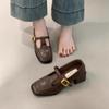 Retro Square Head Thick Heel Single Shoes Women's Spring and Autumn New High Heels Mary Jane Small Leather Shoes