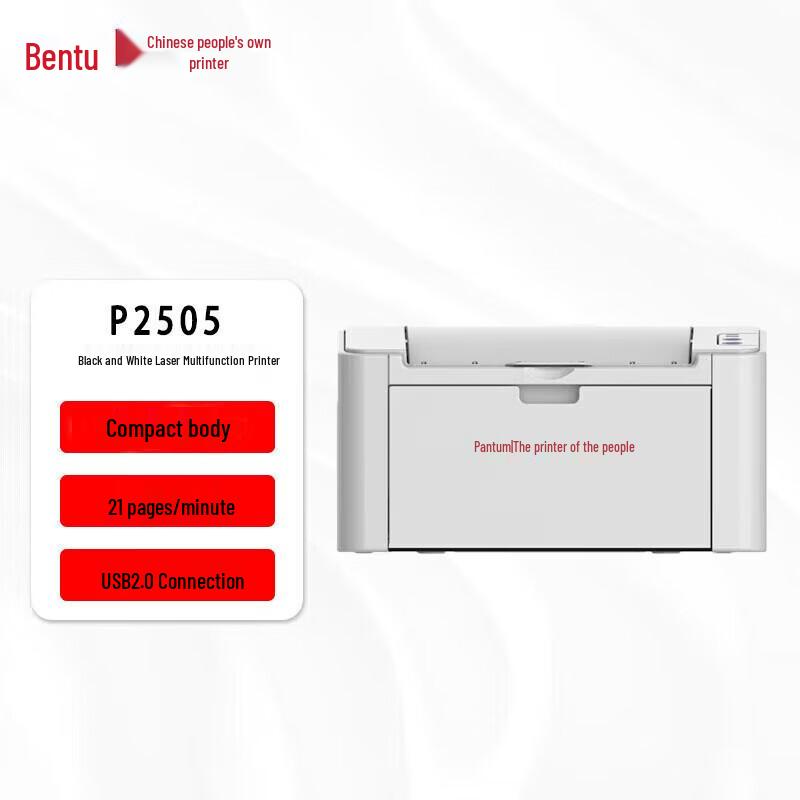 Pantum P2505 Monochrome Laser Printer CN plug (adapter included)