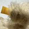 [USED] Steiff Teddy Bear Classic 00510