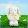 Hanging Shawl Ear Rabbit Plush Toy Clothes Can Be Disassembled Holiday Kids Gift