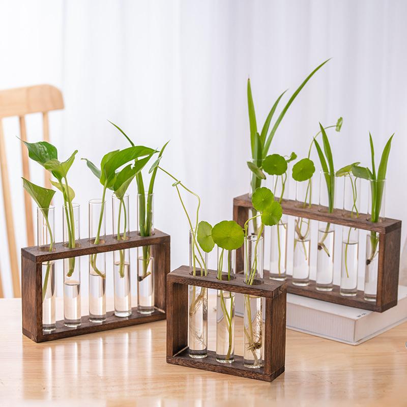 Small Fresh Hydroponic Green Vase Wooden Frame Vase Decorative Ornament Wall Mounted