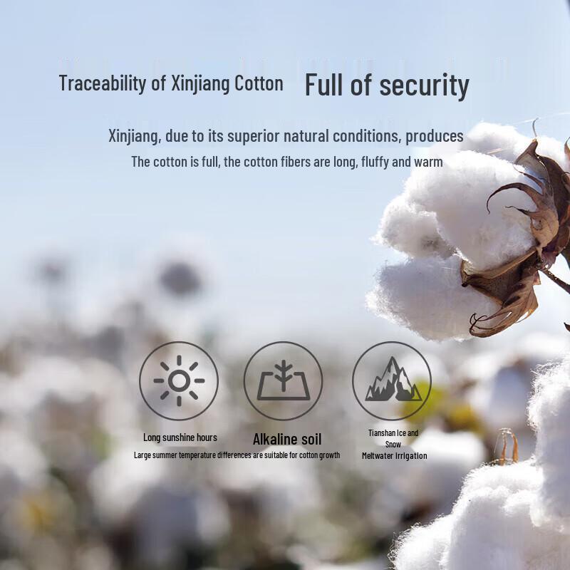 LUOLAI 100% Чистое Хлопковое Одеяло из Синьцзяна