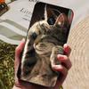Чехлы для Oukitel C59 Pro Мягкий чехол Милый принт с кошкой Силиконовый чехол для Oukitel C59 Pro Чехол Oukitel C59Pro Полностью защитный Funda