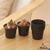 20 шт. Набор мини-горшков для рассады Круглый пластиковый цветочный горшок Питомник с дренажными отверстиями Полезные садовые аксессуары Принадлежности для рассады ZYF