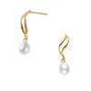 VA Vendome Aoyama 10K Yellow Gold with Freshwater GAVA0367 PF [Official] Earrings, Pearl,