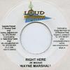 7inch Record WAYNE MARSHALL - Right Here Loud Disturbanc 2006 Jamaica Reggae, Ska & Dub