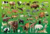 Beverly In Beverly Jigsaw Puzzle Zoo X 38 (BEVERLY) [Made Japan] 100-piece (26 Cm) 100-041
