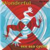 CD ECO ECO CYCLES - Wonderful PCCC00012 Confusion 1992 Япония Рок Б/у