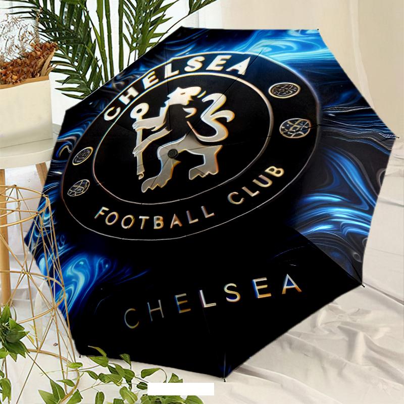 C-Chelsea Umbrella with Automatic Open/Close & Self-8-Rib Heavy-Duty Umbrella, Compact Travel Umbrella Suitable for Outdoor