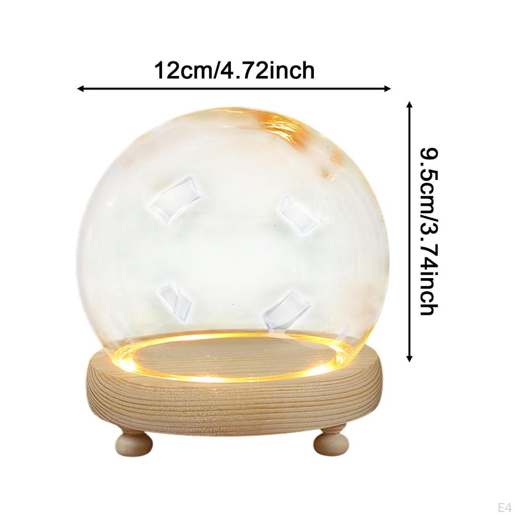 Display Dome with Base Bell Jar Case Transparent Cover Pedestal Ornament Dollhouse Accessory