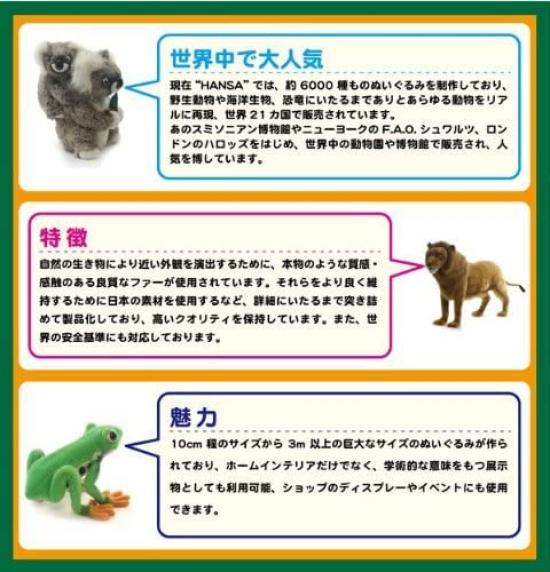 BH6999 HANSA Snow Leopard 70