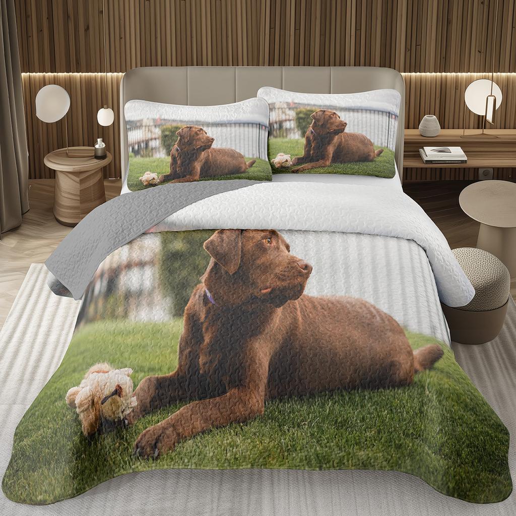 Забавный плед для собаки Твин Квин Каваи Животное Покрывало Мультяшный Домашний Питомец Собаки Постельный Набор Для Мальчиков Девочек Двусторонние Стеганые Покрывала