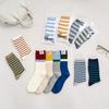 It's Socks Basic Striped Socks Gray_FS0825017