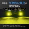 HID Shop H8 H11 H16 противотуманная фара светодиодная ананасовая желтая взрывная лампа 13100 лм 12 В совместимая с инспекцией транспортного средства серии Q 2 шт. 1 комплект