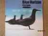 LP Record ERIC GALE (STUFF) - Blue Horizon VIJ6378 JVC 1982 Japan Obi Jazz Used