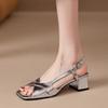 New French Temperament Silver Open-toed High Heels Women's Summer Fashion Elegant Square Head Roman Thick Heel Sandals