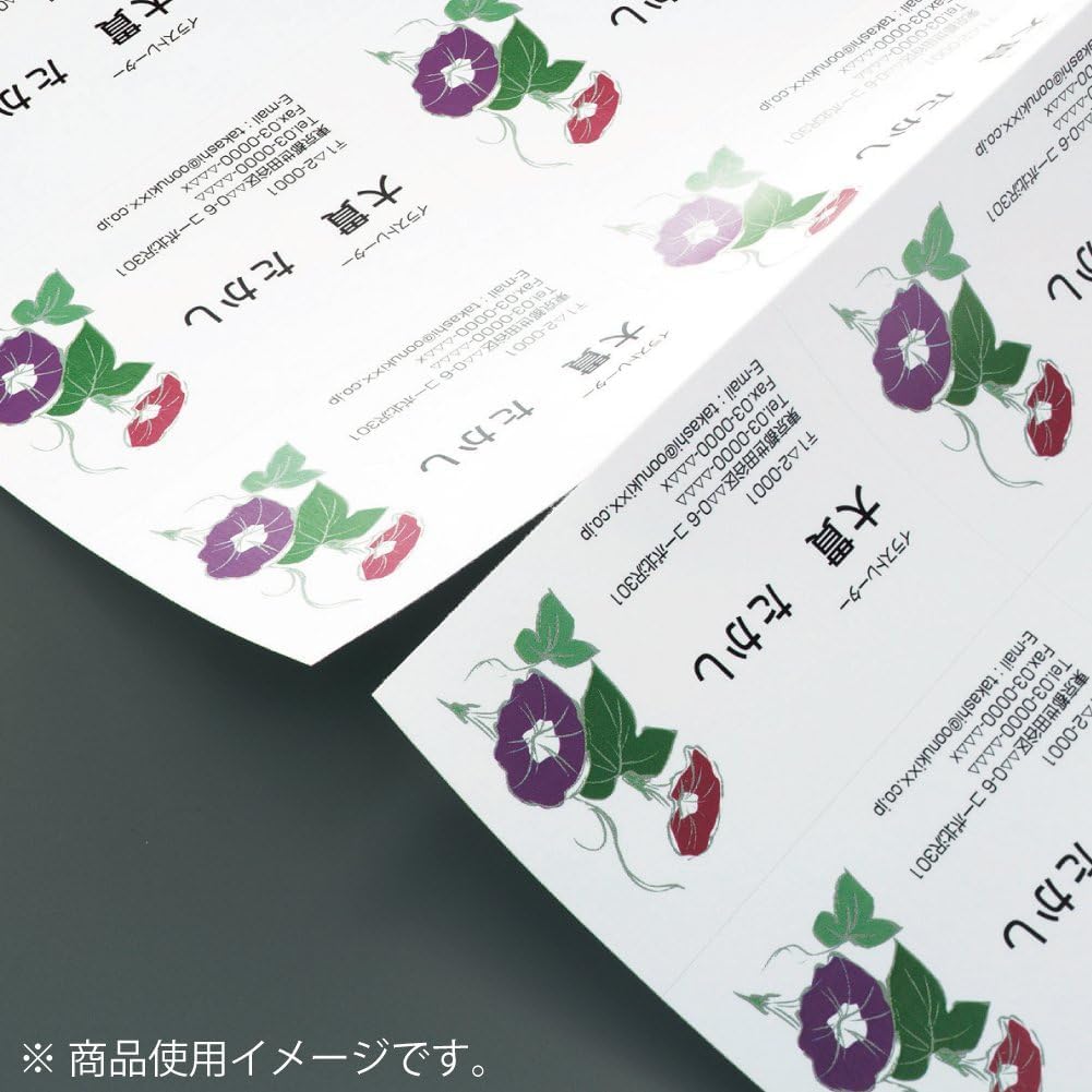KOKUYO Визитки 10 листов на Бумаге для многоцелевой печати Natural, A4, пачка, Белый, 5 пачек (KPC-VE10WX5)