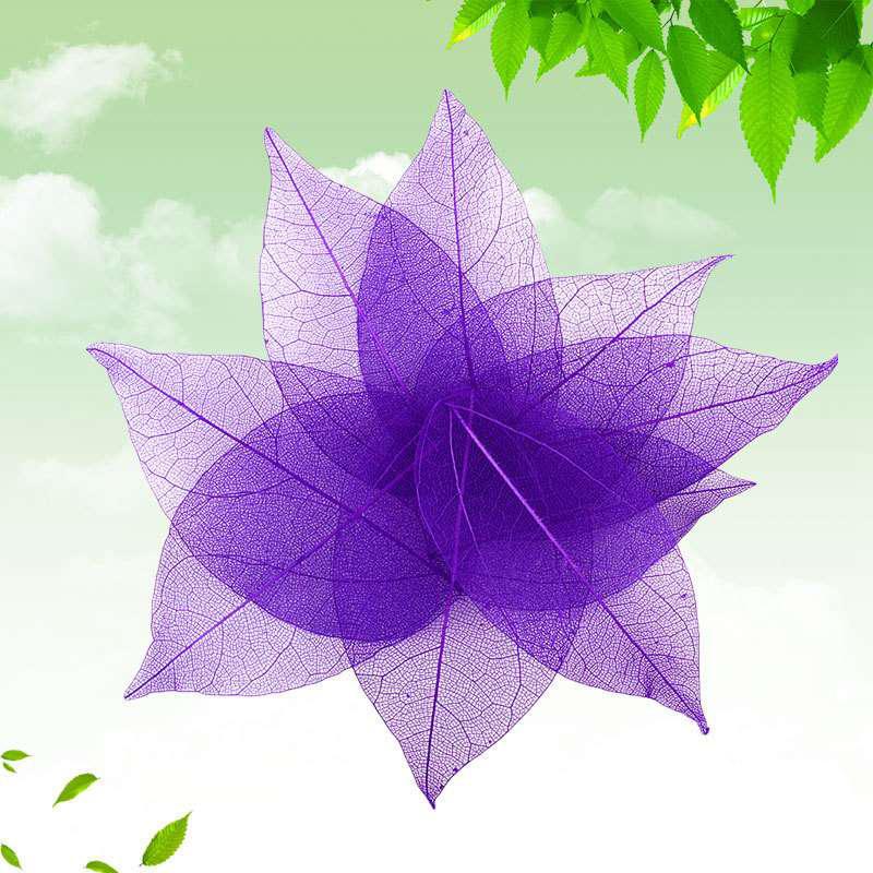 Тиснение 30 шт. Сухоцветы Чехол для телефона DIY Орнамент Аксессуары Ручная работа Материал Натуральный Алмаз Вены Изготовление Тиснение