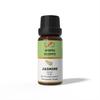 Ananta Jasmine Essential Oil 10 ml – Floral Aroma Oil for Diffusers, Candles and Home Fragrance