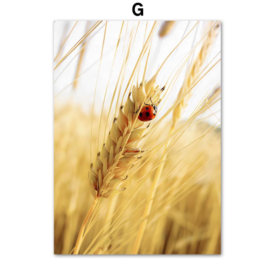 Подсолнух Цветочное поле Девушка Ветряная мельница Картина на холсте Весенние постеры и принты Пейзаж настенные художественные картины для декора гостиной