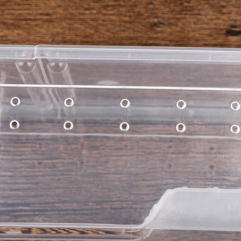 Reptile Box Mantis Jumping Spider Silkworm Rearing Box Reptile Rearing Box