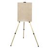 63 Inch Adjustable Aluminum Alloy Easel with Carrying Bag for Painting Drawing
