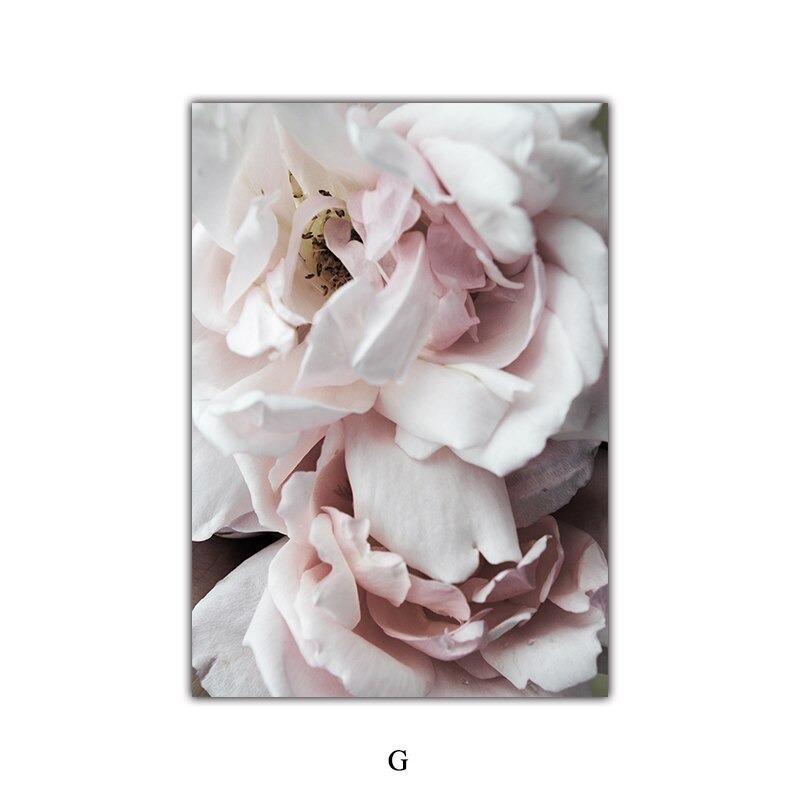 Семена цветов пустыни Скандинавский природный ландшафт Постер Фреска Настенное искусство для пар Бохо Нордический декор настенные картины Идеально для