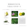 [Официальный RMK] RMK Designing Rich Serum 30 мл [Квази-лекарственное средство] (сыворотка, уход за кожей, увлажнение, для лица, красота, увлажняющий, сыворотка)