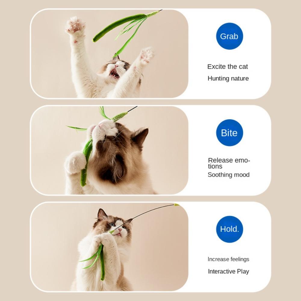 Kimpets хвост для кошек и собак, трава для собак, перо шалфея, длинный шест, палка для дразнения кошек, устойчивая к укусам, успокаивающий инструмент, игрушка для кошек, товары для домашних животных