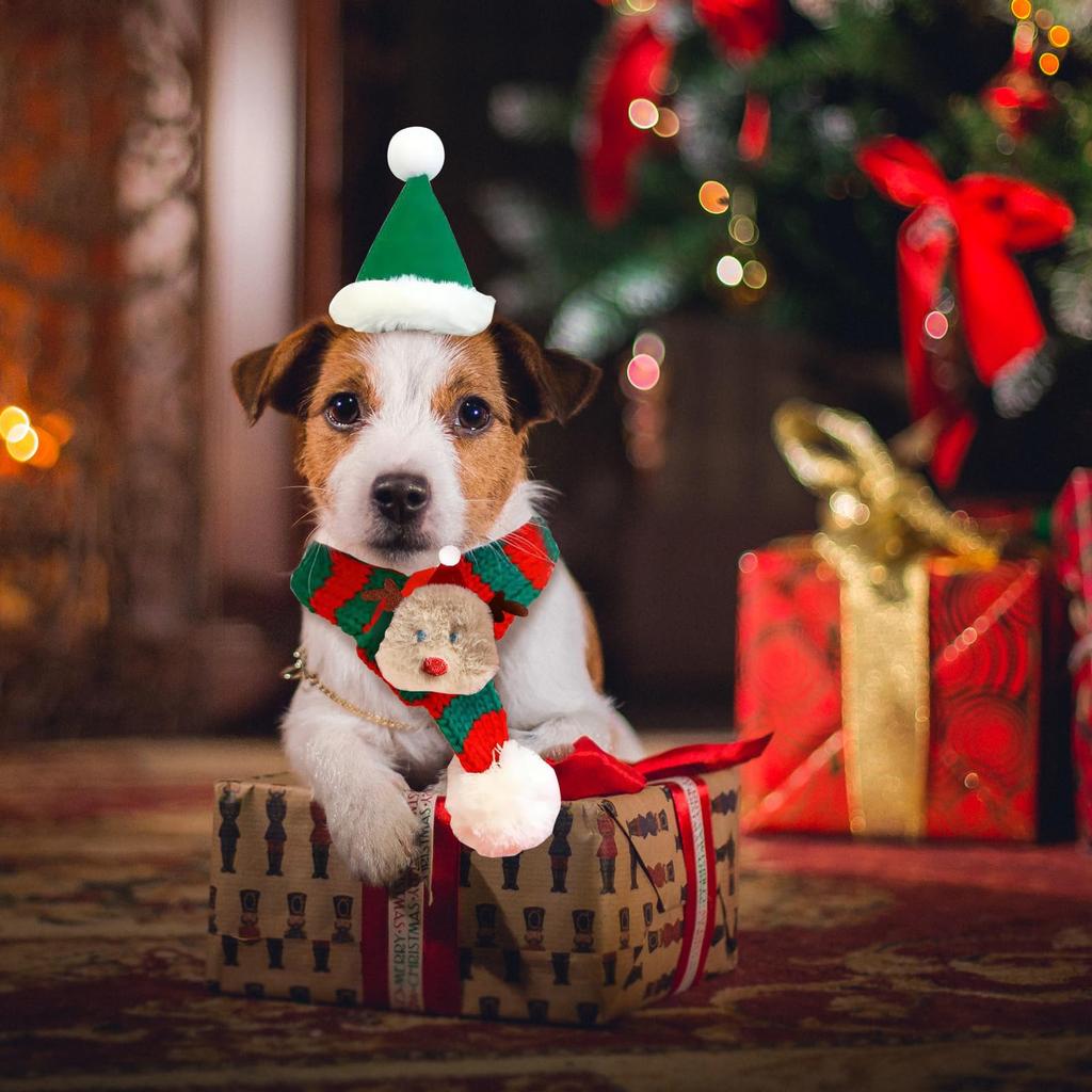 CANPLUS Набор Рождественская Шапка Шарф для Собаки Кошки Одежда для Кошки Одежда для Собаки Мелкие Собаки Защита от Холода Одежда Санты Милые Товары для Питомцев Костюм Подарок
