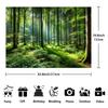 2D Фон Лес Солнечный Свет Природа Зеленый Лес Фотобудка Фон