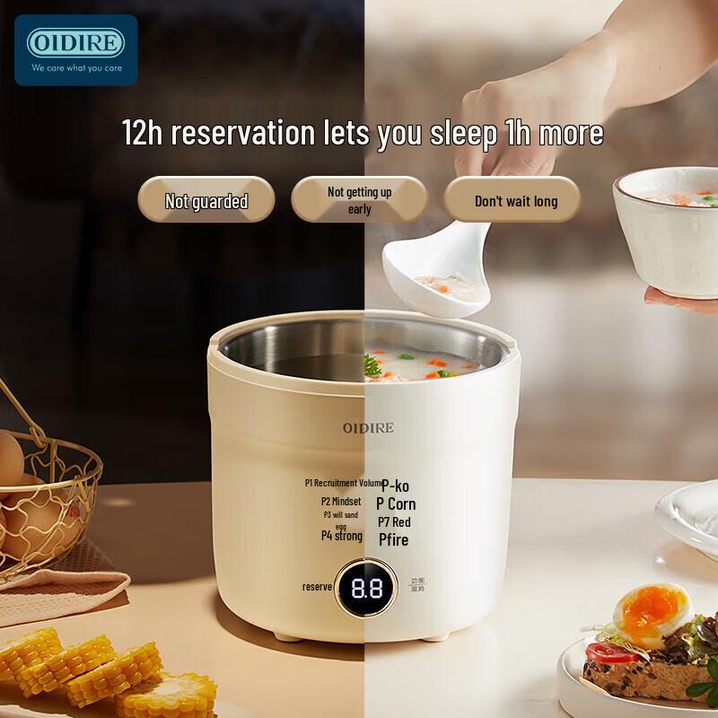 OIDIRE Smart Automatic Egg Cooker & Steamer CN plug (adapter included)