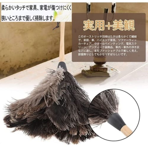 Ostrich feather duster, handy duster, anti-static, houseplant duster, ostrich feather
