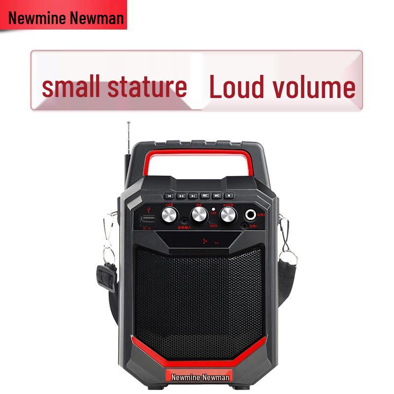 Newmine K66 Portable Bluetooth Speaker with Wired Microphone CN plug (adapter included)