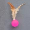 Funny Cat Elastic Ball Toy Interactive Balls Pet Supplies Feather Football Toys Dog Playthings Kitten