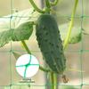 Plastic Garden Trellis Net for Climbing Plants Use Outdoor Plant Net