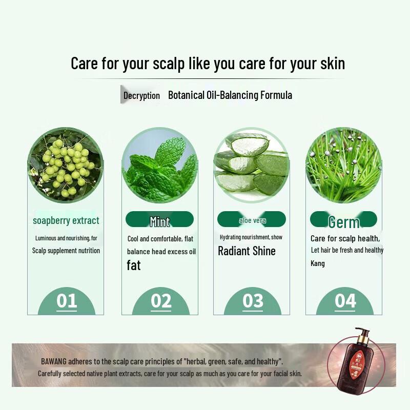 BaWang Sapindus Balancing Oil Control Shampoo