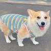 Одежда для собак породы корги сиба-ину жилет для домашних животных жилет Тедди носит полосатый новый стиль для всех сезонов, чтобы предотвратить выпадение шерсти