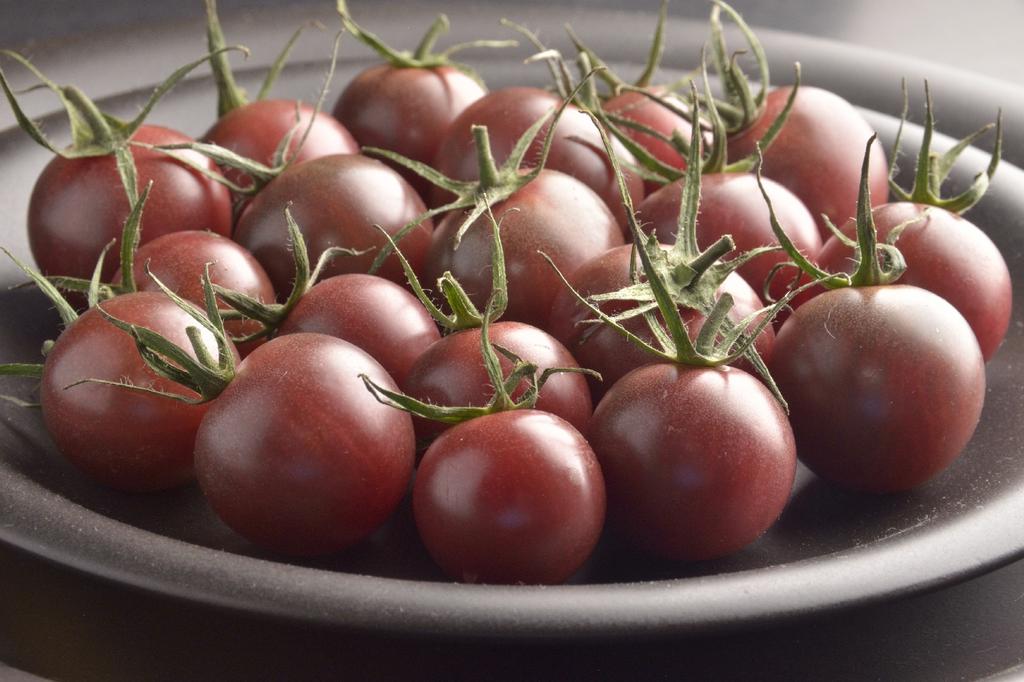 SAFLAX Garden in the Bag - Органический - Помидор - Черная вишня - 10 семян - С субстратом в подходящем пакете - Solanum lycopersicum