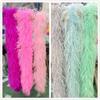 2 Meters Natural Ostrich Feather Boa 6ply Ostrich Feathers Trim Shawl Dyed Various Party Clothing Decoration Plume Scarf
