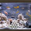 Aquarium Cave Protection, Practical, Practical Decoration, Water Landscape, Shrimp Glass for Home