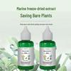 Revive Liquid: Cures Yellow Leaves & Lifeless Plants - Ideal for Fruits, Vegetables, Greenery, & Flowers